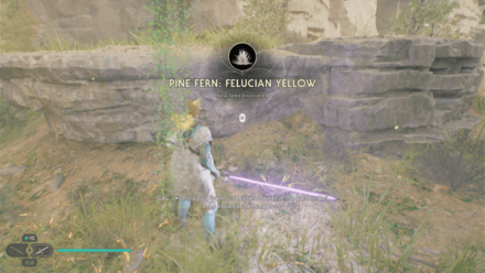 Fallen Order - Pine Fern In Game Image