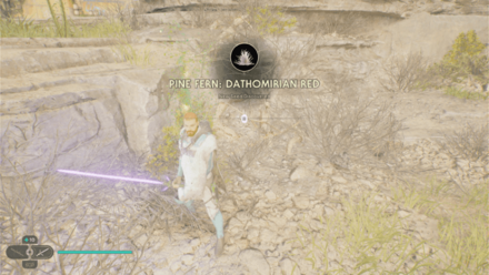 Fallen Order - Pine Fern In Game Image