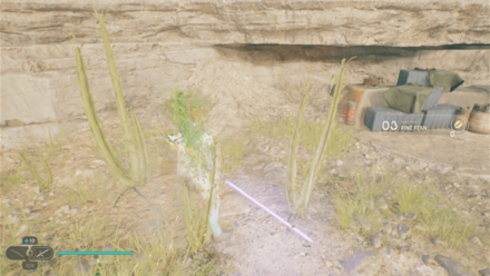 Fallen Order - Pine Fern In Game Image