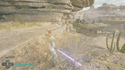 Fallen Order - Pine Fern In Game Image