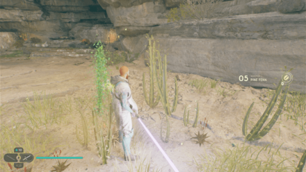 Fallen Order - Pine Fern In Game Image