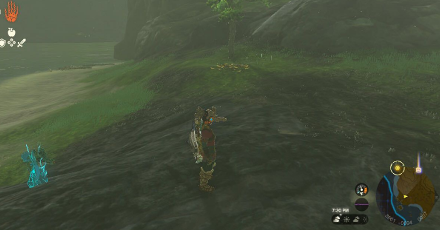 TotK - Korok Seed x2