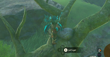 TotK - Korok Seed