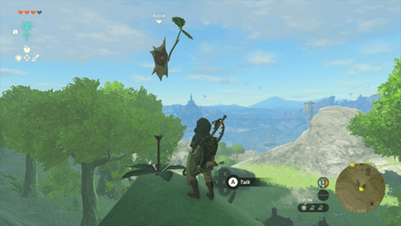 TotK - Korok Seed