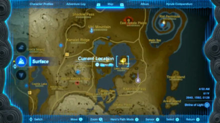 Tears of the Kingdom - Home on Arrange