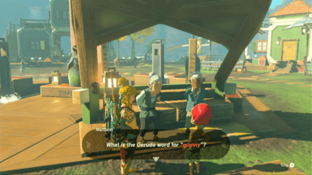 Zelda Tears of the Kingdom TOTK - Mattison