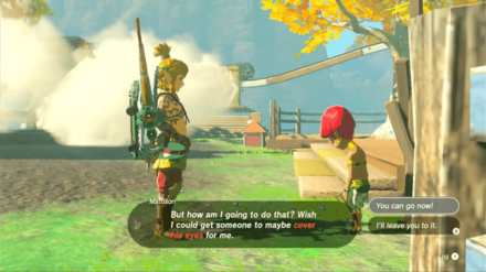 Zelda Tears of the Kingdom TOTK - Mattison