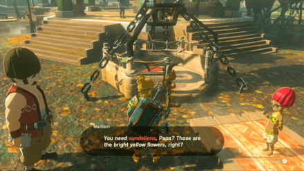 Zelda Tears of the Kingdom TOTK - Mattison