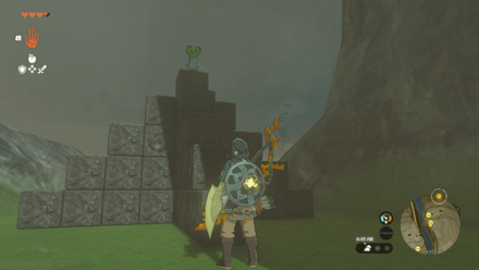 TotK - Korok Seed