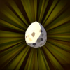 Bird Egg