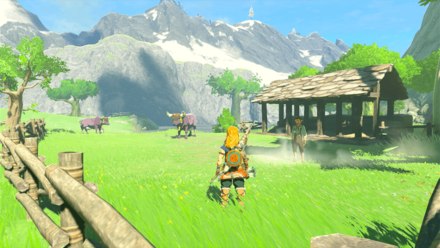 Tears of the Kingdom TOTK - Hateno Village Hateno Pasture