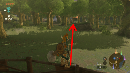 TOTK - An Uninvited Guest Go to Enemy Camp