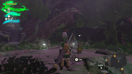 Tears of the Kingdom TOTK - Korok Forest