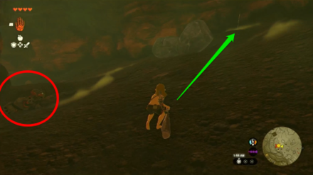 Zelda Tears of the Kingdom TotK Grabbing the Traveler