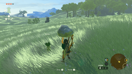 TotK - Korok Seed