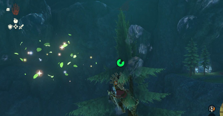TotK - Korok Seed