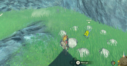 TotK - Korok Seed