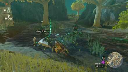 Zelda TotK - Two-Handed Weapon