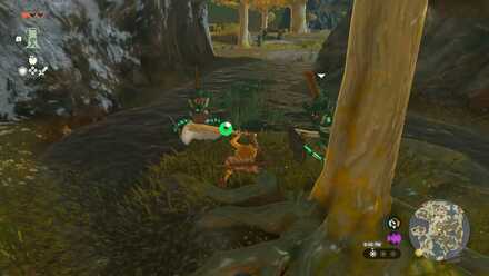 Zelda TotK - Charged Attack