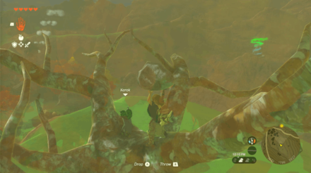 TOTK - Wetland Stable Korok Seed