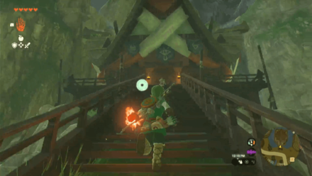 Tears of the Kingdom TOTK - Kakariko Village Impa