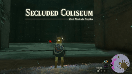 Zelda TotK - Floating Coliseum Map Image