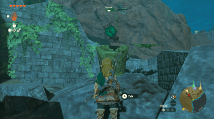 TotK - Korok Seed