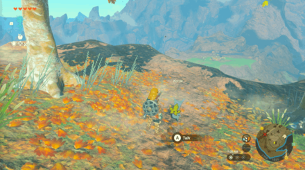 TotK - Korok Seed