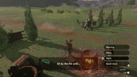 Zelda Tears of the Kingdom TOTK - An Eerie Voice Sit by the fire until Night