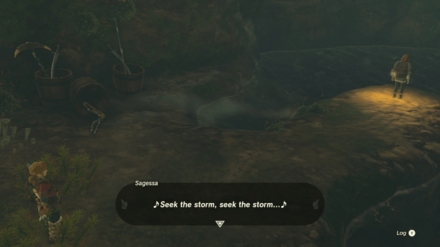 Zelda Tears of the Kingdom TOTK - An Eerie Voice Talk to Sagessa