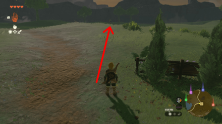 Zelda Tears of the Kingdom TOTK - An Eerie Voice Follow Penn