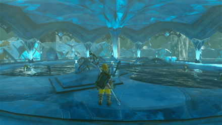 Tears of the Kingdom TOTK - Zora