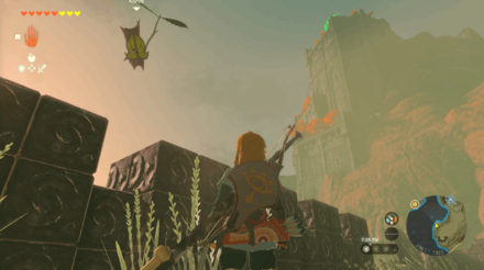 TotK - Korok Seed