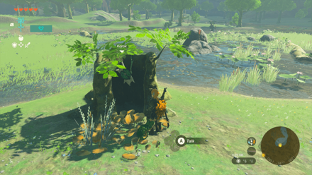 TotK - Korok Seed