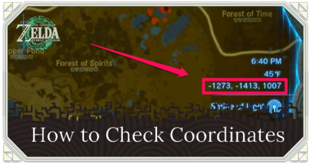 Zelda TotK - How to Check Coordinates