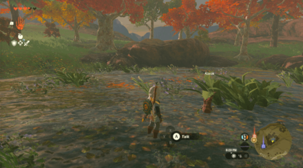 TotK - Korok Seed