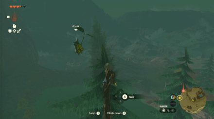 TotK - Korok Seed