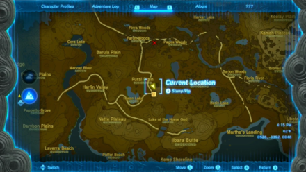 Tears of the Kingdom TOTK Faron Grasslands