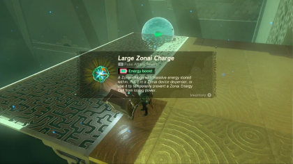 Zelda TotK Igoshon Shrine Walkthrough (9)