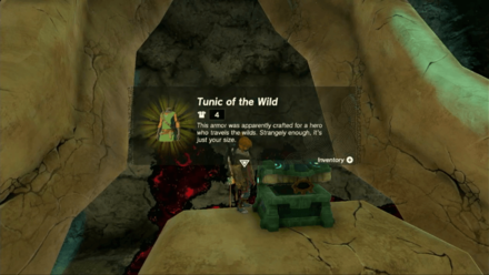 Tunic of the Wild Location