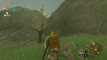 TotK - Korok Seed