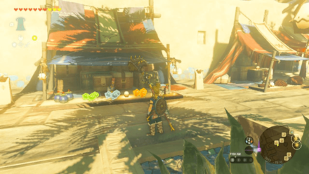 Tears of the Kingdom TOTK - Gerudo Town Arrows and Attachments Stall