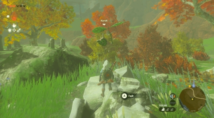TotK - Korok Seed