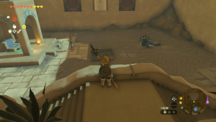 Tears of the Kingdom TOTK - Gerudo Town Patircia the Seal