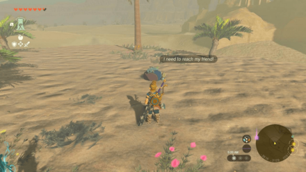 TotK - Korok Seed x2