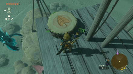 TotK - Korok Seed