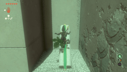 Zelda TOTK Riogok Shrine Step 7