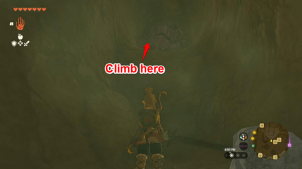 Tears of the Kingdom - Climb Up the Ledge