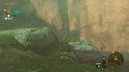 TotK - Korok Seed