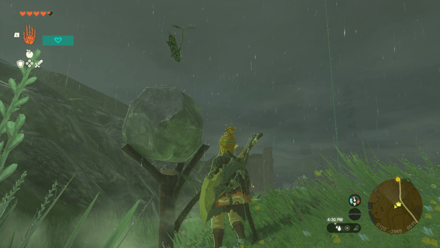 TotK - Korok Seed